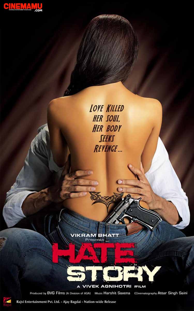 Hate Story (2012)