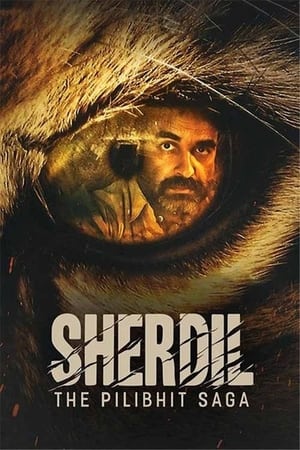 Sherdil : The Pilibhit Saga 2022 | Download & Watch Now